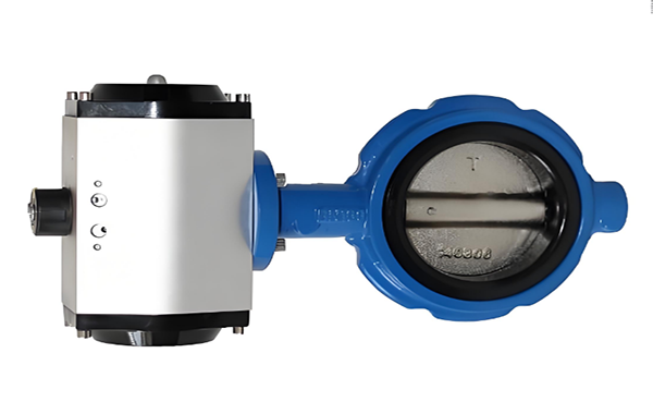 Butterfly valve with clamp.png